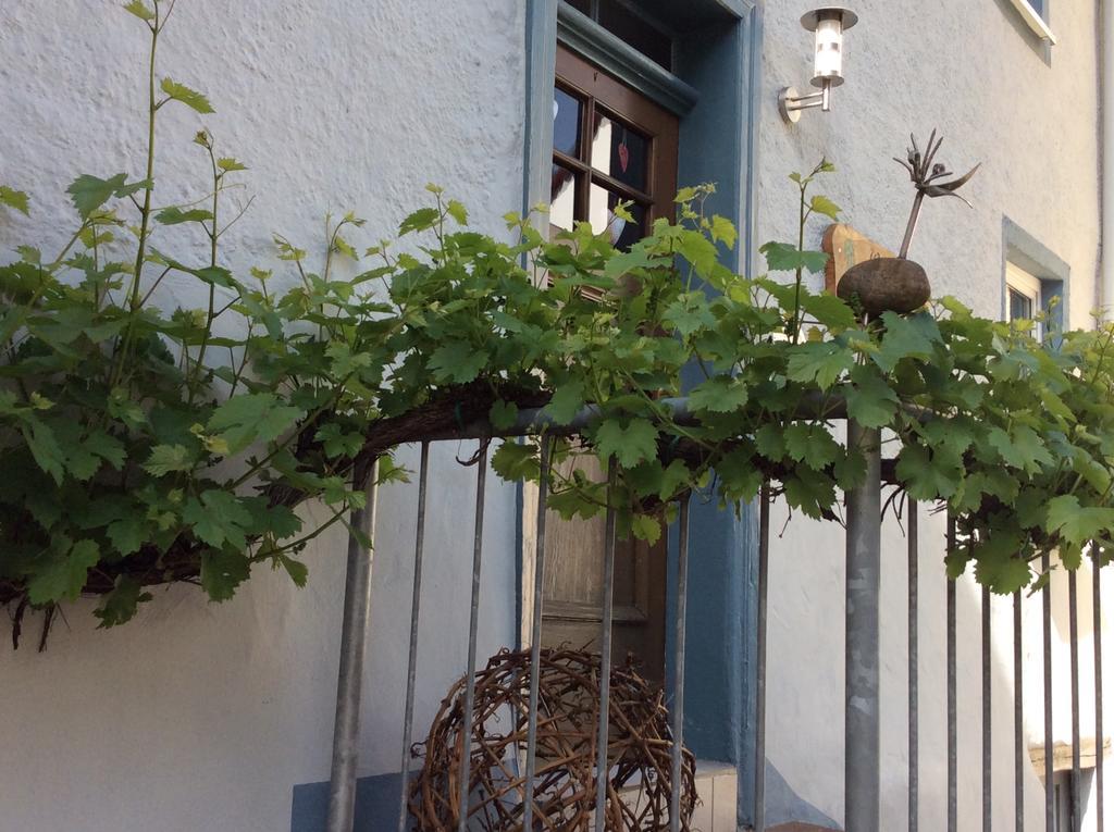 Apartamento Winzerhäuschen, Weingut Th. Müller Reil Exterior foto
